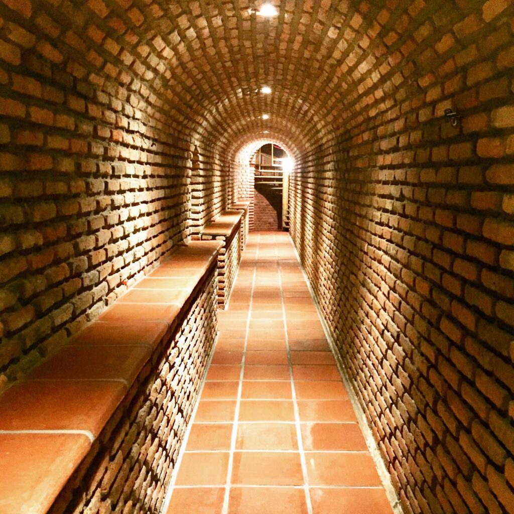 117409145_2636257806634452_4353194659208556408_n